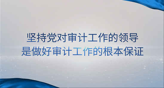 [專(zhuān)家談審計(jì)法]王偉：堅(jiān)持黨對(duì)審計(jì)工作的領(lǐng)導(dǎo)是做好審計(jì)工作的根本保證 