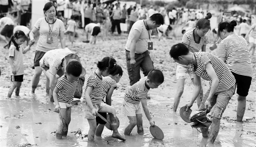 16日,游客在湖北宜昌市夷陵區(qū)分鄉(xiāng)鎮(zhèn)南埡稻田體驗(yàn)抓泥鰍活動。中秋小長假期間,當(dāng)?shù)嘏e辦田園農(nóng)趣休閑活動,吸引千余游客共慶中秋佳節(jié)。張國榮 攝